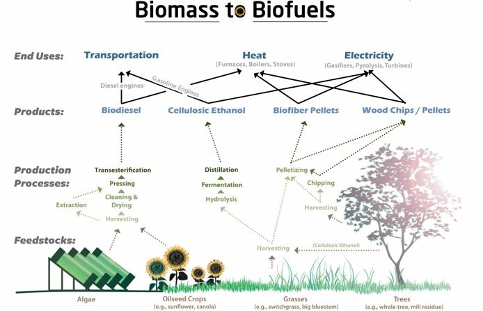 Biofuels pose complex challenges for oxidation catalyst technology May impact catalyst performance as poisons and/or masking agents Trace contaminants from