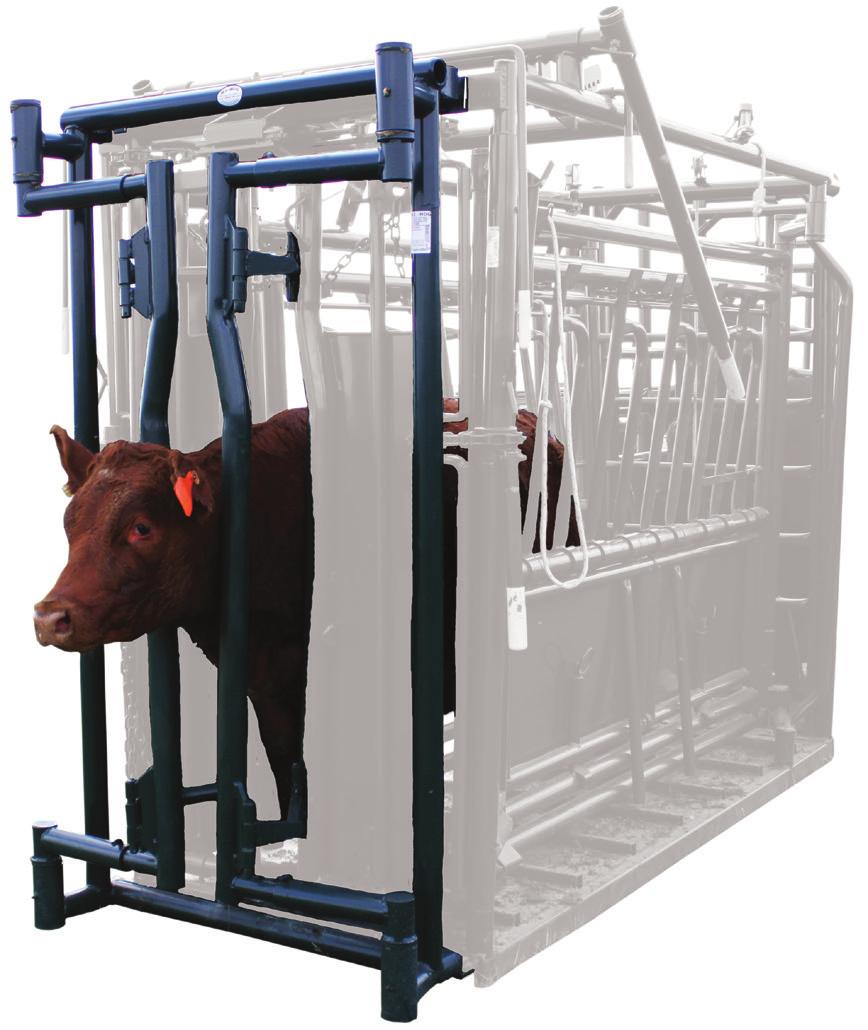 The head gate and the neck extender can be released forward or backward in one motion. When the neck extender is added to any product it limits the inward motion of the attached head gate.