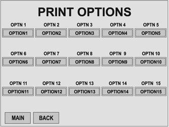 Chapter 4 Operator Interface/Standard Wash Operation Screens User User / Print User / Print / Options Screen