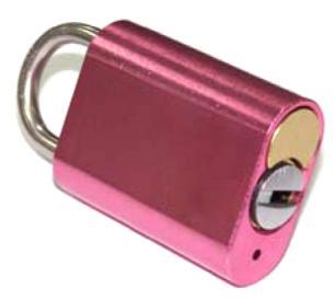locks may be customer keyed to this system but the Master Key