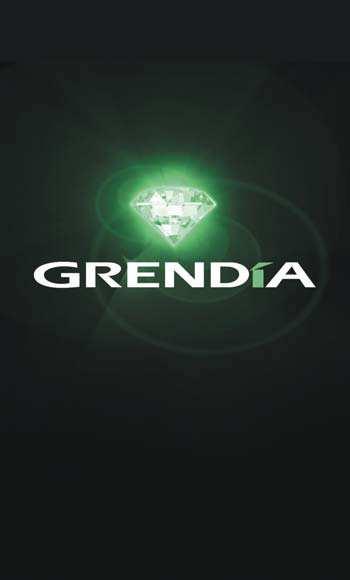 the green diamond Our most popular forklift range, GRENDIA means green diamond.