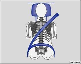 Fig. 40 Correct seat belt routing and head restraint adjustment The following details the correct sitting positions for the driver and passengers.