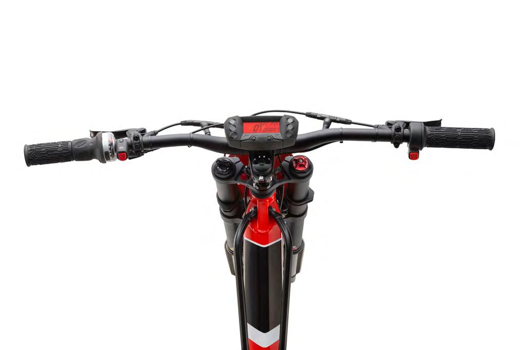KNOW YOUR BRINCO / HANDLEBAR CONTROLS Rear brake handle Dashboard Front brake lever WARNING IDENTIFY CORRECTLY BRAKES POSITIONING. The front brake lever is on the right.