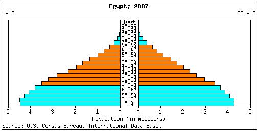 Slika 2: Starostna piramida egiptovskega prebivalstva za leto 2007 Vir: U.S. Census Bureau, International data base; Egypt Enake lastnosti za določitev potencialnega trga smo izbrali tudi pri naši primerjalni državi Turčiji.