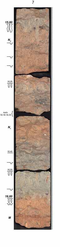 Kõrgemat järku (meso- ja makro-) tsükliitide piiridel on kp sügavate (kuni 20 cm) koopakujuliste taskutega, mille söövitatud konarlikud seinad kannavad karstistumise jälgi, olles seega kestvama