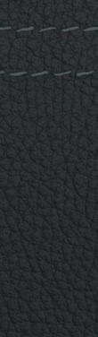 LCSW Black Dakota Leather 4D0 Fineline Stripe Wood Trim A83