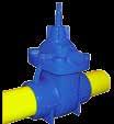 Gate Valves Series 555/300-001 Cast Iron Softseal Gate Valve Nitrile seals Fitted with double block and bleed facility Flanges other types available on request Kitemark Approved to GIS/V7:Part1 MOP 7