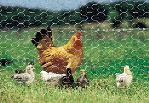 POULTRY NETTING 1" Hexagonal Pattern 31 Ideal for poultry and pet pens Can be used as pest-resistant garden barriers Provides predator-proof protection for domestic fowl and gardens Hexagon mesh