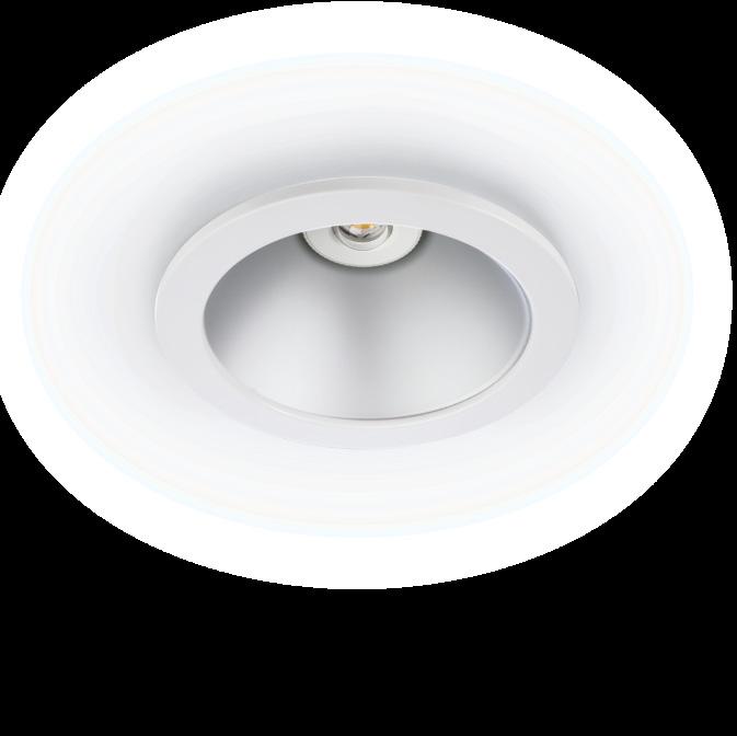 HEDRION downlights Maximum functionality in an unobtrusive