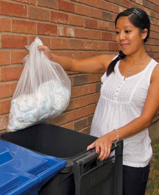 Acceptable liners include shredded paper, paper bags, newspaper, flour/sugar bags or a cereal box. Paper bag liners can be purchased at local retailers.