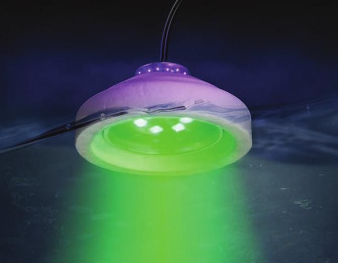 /24 H x 2 W x 2 D Floating Green/UV LED Fish-N-Lite
