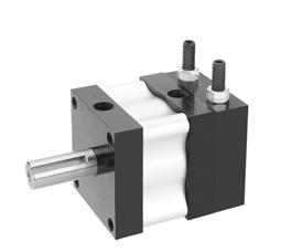 Options- Adjustable Stroke Control (ASC) The Adjustable Stroke Control (ASC) option allows an actuator to be adjusted to the exact rotational stroke desired.