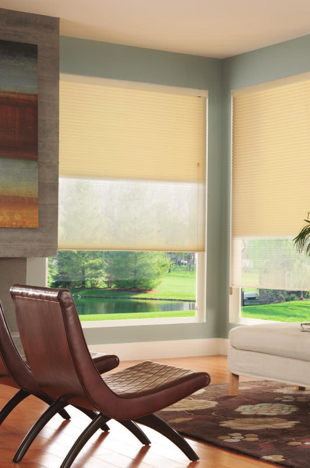 // Tandem Shades features and benefits Innovative design allows choice of honeycomb or 2" Hybrid Pleat shade fabric for the front shade to achieve just the right style and color desired.