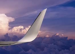 WINGLETS Blended winglets are used in this heavy business jet.
