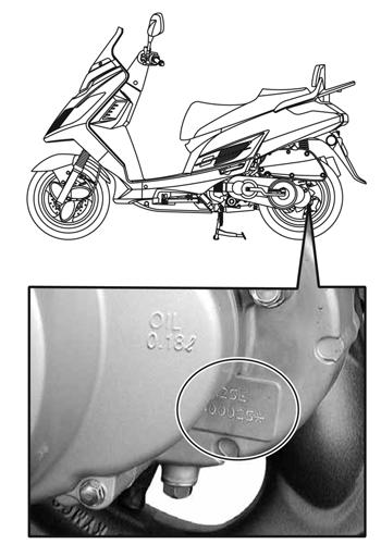CONTROLS & FEATURES Vehicle Identification Number (VIN) To read your scooter s VIN,
