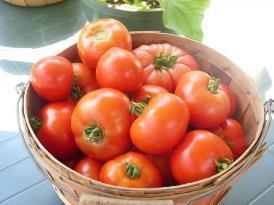 Organic Tomatoes $3.