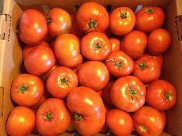 California Tomatoes $2.