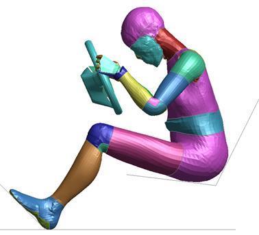 THUMS version 5 is a finite element human model containing all muscles in the body.