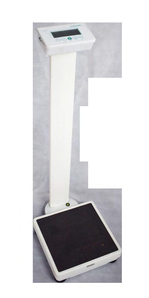 Low Cost Column Scale Low cost, high capacity, Class III Approved digital column scale