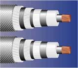 modules IGBT valve modules CTL VSC DC capacitor module
