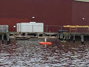 Introduction of Unmanned Surface Vehicles ECHOBOAT-ASV MULTI-SENSOR PLATFORM Multibeam bathymetric survey in a harbor