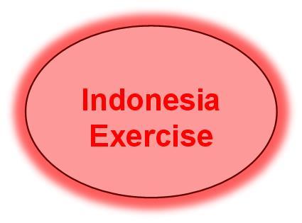 Indonesia s