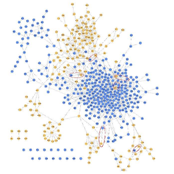 Example: Integrated Genomic Networks Goal: Find links between different