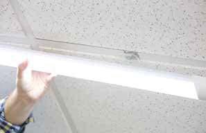 SmoothLite The SmoothLite LED linear lighting products provide an even distribution of high output light.