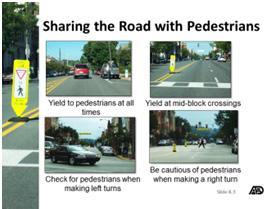 Sharing the Road with Pedestrians Always recognize that pedestrians are especially defenseless, because they do not have the same protection drivers have in a vehicle.