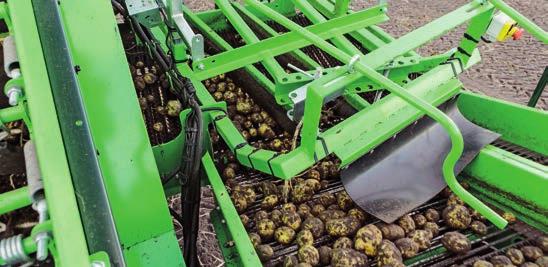 The product flow 1. The potatoes are taken in by the AVR digger unit.