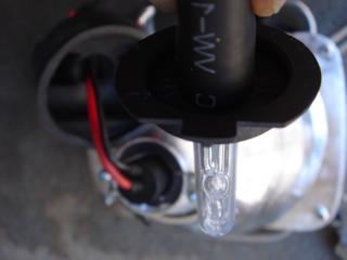 HOLD @ black base) GiSi HID bulb fits into the bulb slot