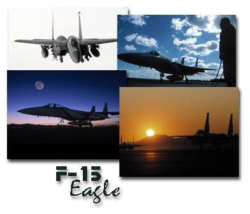 F-15 MECHANICAL EQUIPMENT AND SUBSYSTEMS INTEGRITY PROGRAM (MECSIP) F-15 MECSIP Reliability Center Maintenance