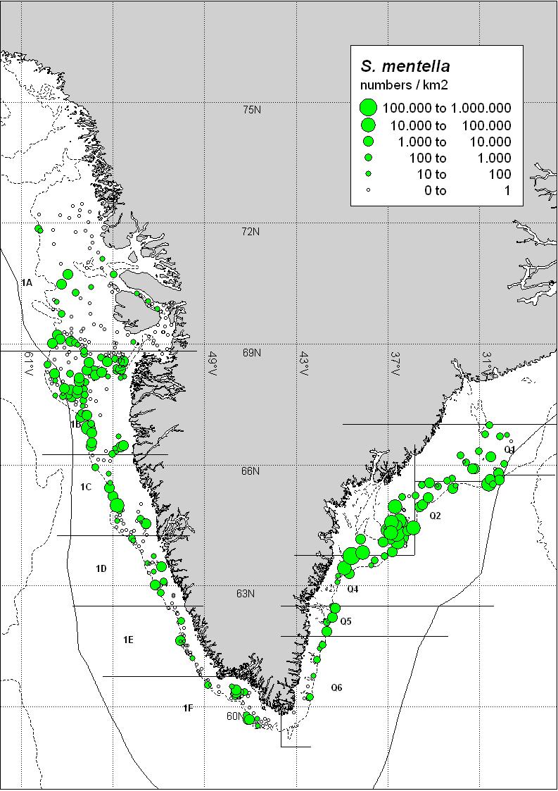 Fig. 15. 21 Deep-sea redfish survey biomass in kg / km 2. Fig.