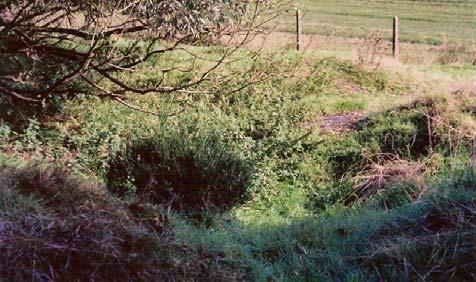 The ground around Hill 60 has not been restored and shell holes and a German Pillbox can