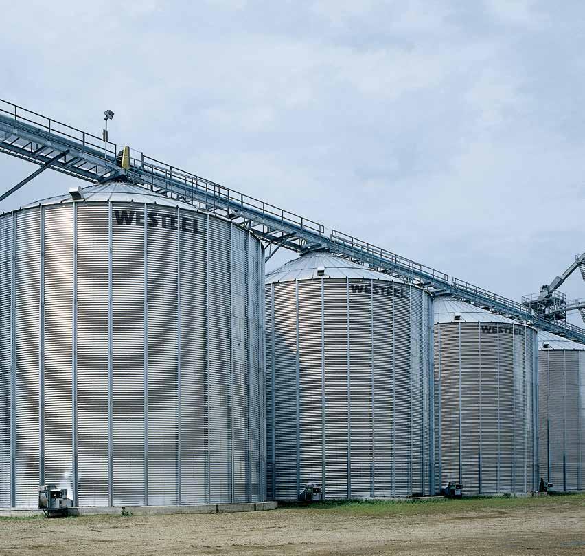 WIDE-CORR CENTURION FLAT BOTTOM BINS From 7,260 to 687,990 bushels (See specifications on page 22) ENGINEERED WITH WESTEEL S ADVANCED UPRIGHT STIFFENING SYSTEM.