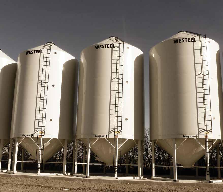 MAGNUM SMOOTHWALL BINS Ladders shown without recommended safety cages. From 1,140 to 6,070 bushels (See specifications on page 25) THE BEST STORAGE, THE BEST DURABILITY, THE BEST VALUE.