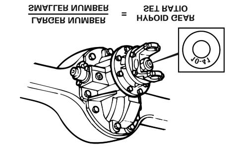 3 Prepare Parts for Assembly 4. Identify the gear teeth number on the rear axle drive pinion. A. Remove the interaxle driveshaft. Refer to the vehicle manufacturer s procedures. B.