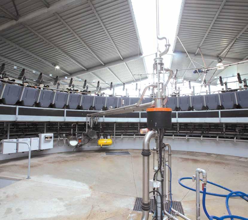 GEA Milfos iconveryer Rotary Milking System iconveyer is a fast and highly efficient lowline rotary milking system.