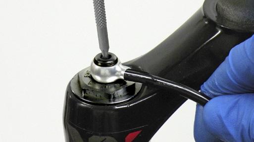 5 Use a T10 TORX to remove the bleed screw from the