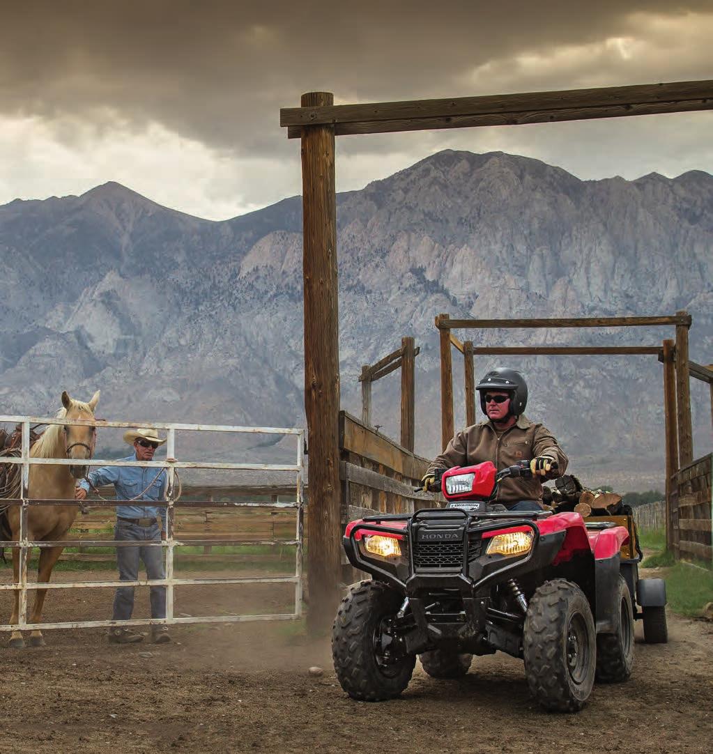> TECHNICAL INNOVATION DIFFERENT HORSES FOR DIFFERENT COURSES. When Honda designs an ATV, we can choose from a wide range of technologies and innovations.