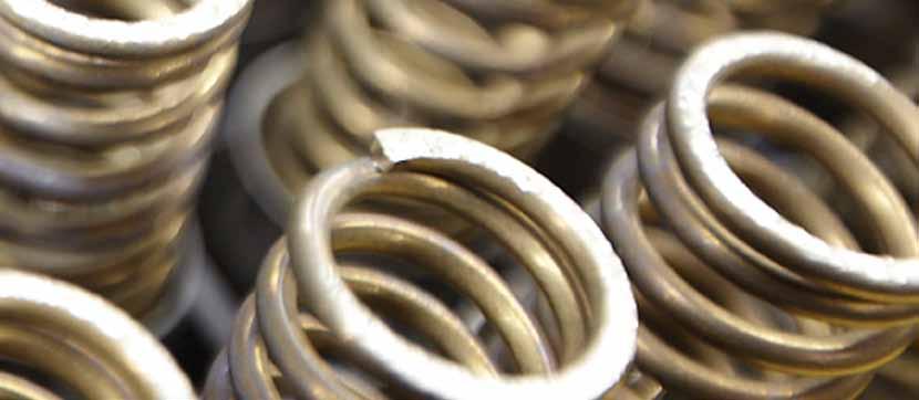 Valve Springs Elgiloy (Exceeds SST grade 316L) Hastelloy CW12MW 17-7 PH Stainless Steel 316L Stainless Steel Valve Materials Hydra-Cell valve assemblies (seats, valves, springs, and retainers) are
