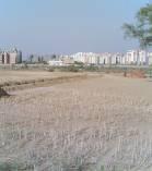 Secondary School To Dwarka Sector 9 207 MSL Proposed ISBT Site To