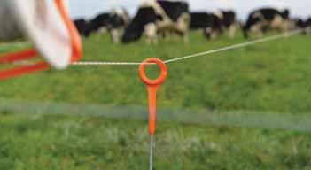 Where several breaks are needed in one paddock, Tumblewheels are ideal for quick and efficient rationing of grass. This fence consists of a number of electrified wheels spaced across the pasture.