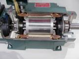 If we look at the cutaway of an AC servo motor, the copper coils are to the outside of the motor. The rotor, however, has permanent magnets bonded onto it.