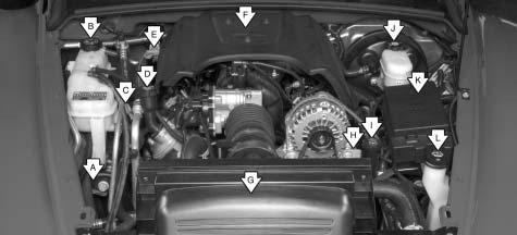Engine Compartment Overview When you