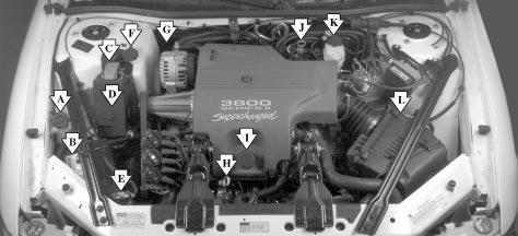 When you open the hood on the 3800 V6 Supercharged engine, you ll see: A. Windshield Washer Fluid Reservoir B. Battery C. Remote Positive (+) Battery Terminal D. Underhood Electrical Center E.