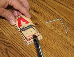 2. Using diagonal cutter pliers, cut the trap's hammer to prepare for removal. Cut Hammer 3.