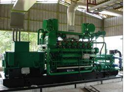 Number and Genset Type: 16 500GF1-3RW Total Electrical Output: 8000kW