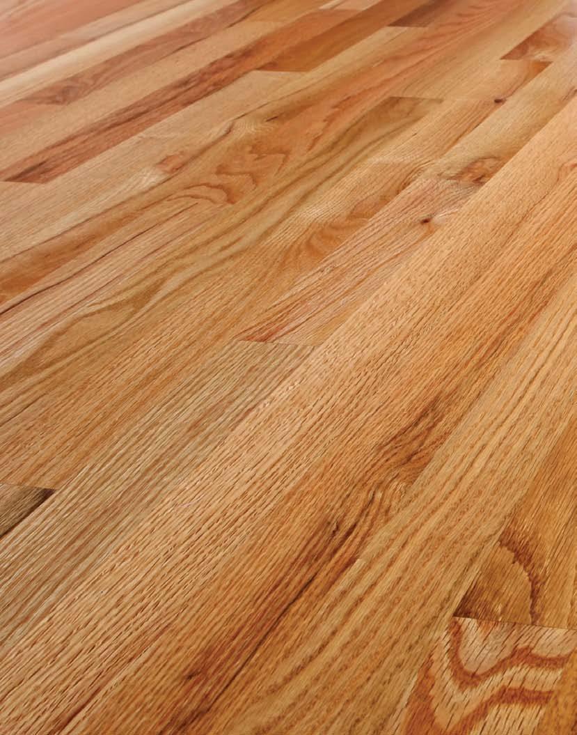 Wood Floor Supplies Tool Repair