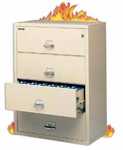 Fireproof/Insulated Files & Data Protection Available Finish Parchment Storage Cabinet (Pictured) SO Model No.